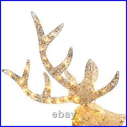 Best Choice Products 5ft Pre-Lit Reindeer Yard Christmas Decoration Gold Holi