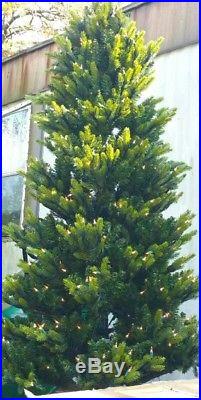 Bethlehem Lights 7.5' Prelit Long Needle Pine Trees WithRemote
