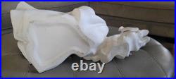 Big Flying Ghost Walking Dog Statue Decor TikTok Viral! P/up Phoenix & Tucson