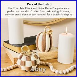 CHILDS Resin Pumpkins Set, Petite, Chocolate Check and Stripe