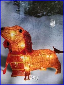 CHRISTMAS HOLIDAY New 2 DACHSHUND Doxie Weiner Dog LIGHT UP Set INDOOR/OUTDOOR