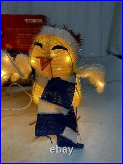 Chicken Family Carolers RARE Holiday Living Light Up Christmas Decor