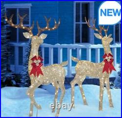 Christmas Reindeer Family Set of 2 Bucks With 480 LED Lights Indoor/Outdoor