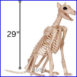 Doberman Skeleton Prop Dog Canine Halloween Puppy Skull Bones Pet Yard Animal