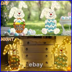 Easter Decorations Outdoor with 2 Pcs Rabbit, Lighted 2D Iron Frame Bunny with 1