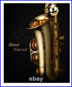 Easter EXA-21 Alto Sax E Flat Sophomore Beginner Brass Full Kit Case Stand& EUC