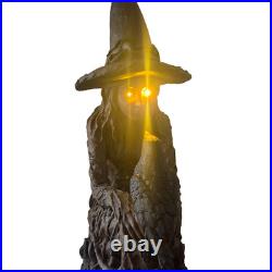 Eerie Charm 25 Inch LED Witch Raven Figurine Lighted Eyes Halloween Decor