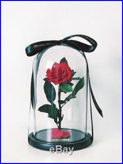 Enchanted Rose, Beauty and The Beast Rose, Rose That Last 3 Year, Mother's Day