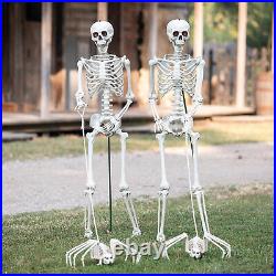 Fun Express Skeletons Walking Pet Spiders Halloween Decorating Kit 4 Pc Fun Express Skeletons Walking Pet Spiders Halloween Decorating Kit 4 Pc