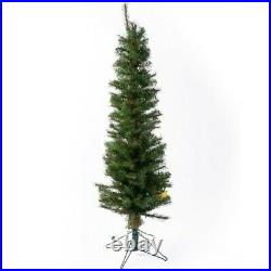 Garden Elements The 4' Western Pine Pencil Tree with 100 Clear Lights
