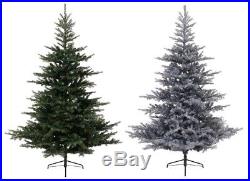Grandis Fir Green Christmas Xmas Tree Plain or Frosted Snowy Various Sizes