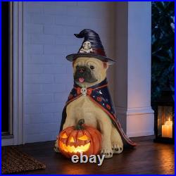 Halloween Bulldog Witch Statue, LED Light Up Jack-O-Lantern Pumpkin Table Decor