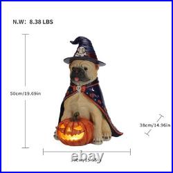 Halloween Bulldog Witch Statue, LED Light Up Jack-O-Lantern Pumpkin Table Decor