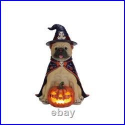 Halloween Bulldog Witch Statue, LED Light Up Jack-O-Lantern Pumpkin Table Decor