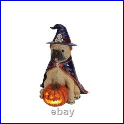 Halloween Bulldog Witch Statue, LED Light Up Jack-O-Lantern Pumpkin Table Decor