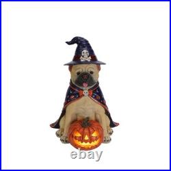 Halloween Bulldog Witch Statue, LED Light Up Jack-O-Lantern Pumpkin Table Decor