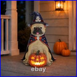 Halloween Bulldog Witch Statue, LED Light Up Jack-O-Lantern Pumpkin Table Decor