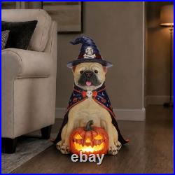 Halloween Bulldog Witch Statue, LED Light Up Jack-O-Lantern Pumpkin Table Decor