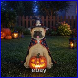 Halloween Bulldog Witch Statue, LED Light Up Jack-O-Lantern Pumpkin Table Decor