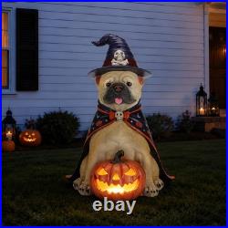 Halloween Bulldog Witch Statue, LED Light Up Jack-O-Lantern Pumpkin Table Decor