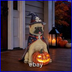 Halloween Bulldog Witch Statue, LED Light Up Jack-O-Lantern Pumpkin Table Decor