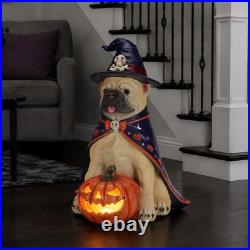 Halloween Bulldog Witch Statue, LED Light Up Jack-O-Lantern Pumpkin Table Decor