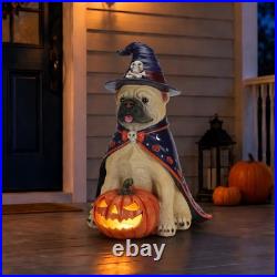 Halloween Bulldog Witch Statue, LED Light Up Jack-O-Lantern Pumpkin Table Decor