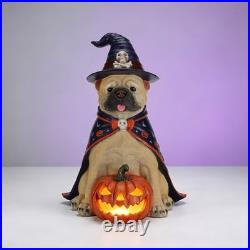 Halloween Bulldog Witch Statue, LED Light Up Jack-O-Lantern Pumpkin Table Decor