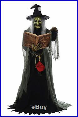 Halloween Life Size SPELL SPEAKING WITCH Haunted House Animated Prop Decoration