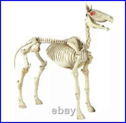 Halloween Prop Life Size 74 inches (6 ft) Horse Skeleton Lighted Eyes and Sound