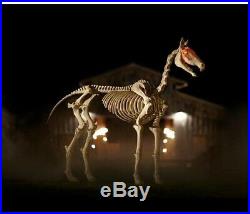 Halloween Props Life Size Decor 6 Ft Horse Skeleton Lighted Eyes Sounds Lights