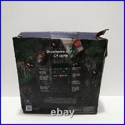 Holiday Show Home Set of 48 C9 LED Christmas Lights Multicolor Bluetooth (A)