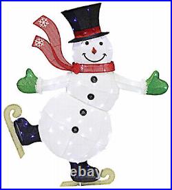 Holiday Wonderland 75-DE9220L LED Christmas Outdoor Decoration, Skating Snowman