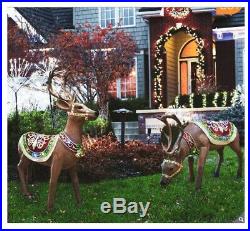 Holidynamics Indoor/Outdoor Deer With LED Lights Set of 2 (Christmas) with detail