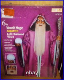 Home Accents 6ft Moonlit Magic Animated LED Illuminated Wizard Indoor