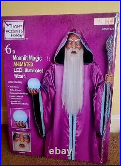 Home Accents 6ft Moonlit Magic Animated LED Illuminated Wizard Indoor