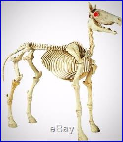 Home Accents Holiday 74 In Standing Skeleton Horse Realistic Bone Finish Home