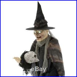 Home Accents Holiday 77.75 in. High Lunging Haggard Witch-5127085