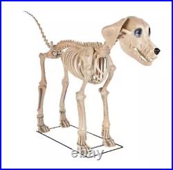 Home Accents Holiday Halloween Home Depot 7 FT Foot Skelly’s Dog (PRESALE)