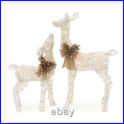 Home Accents LED Lighted Deer & Doe, Set of 2 Christmas Holiday Lawn Yard Decor