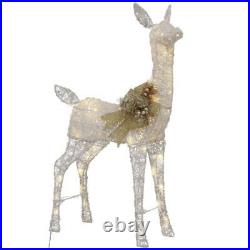 Home Accents LED Lighted Deer & Doe, Set of 2 Christmas Holiday Lawn Yard Decor