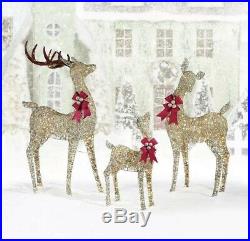 Indoor/Outdoor Christmas Reindeer Family Set Of 3 With LED Lights Decoration