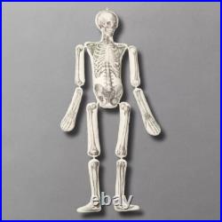 John Derian Target Articulated Skeleton Pillow Long Lost Friend Halloween 63 NWT