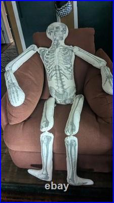 John Derian Target Articulated Skeleton Pillow Long Lost Friend Halloween Nwt