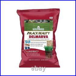 Jonathan Green Black Beauty Delmarva Grass Seed, MD, DE, VA Cool Season
