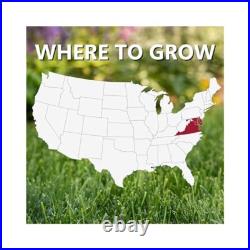Jonathan Green Delmarva Black Beauty, Cool Season Grass Seed MD VA DE