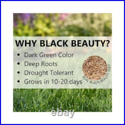 Jonathan Green Delmarva Black Beauty, Cool Season Grass Seed MD VA DE