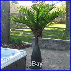 LED Green Lighted Tropical Artificial Realistic Bottle Palm Tree Outdoor Pool