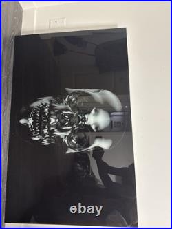 Large Skull Wall Art 43x27.5 Black Glass Decor Perfect for Halloween