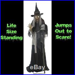 Life Size Animated Sound LUNGING HAGGARD EVIL WITCH Haunted House Halloween Prop